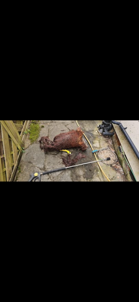 Root mass removed from drainage pipework during work in Bedfordshire