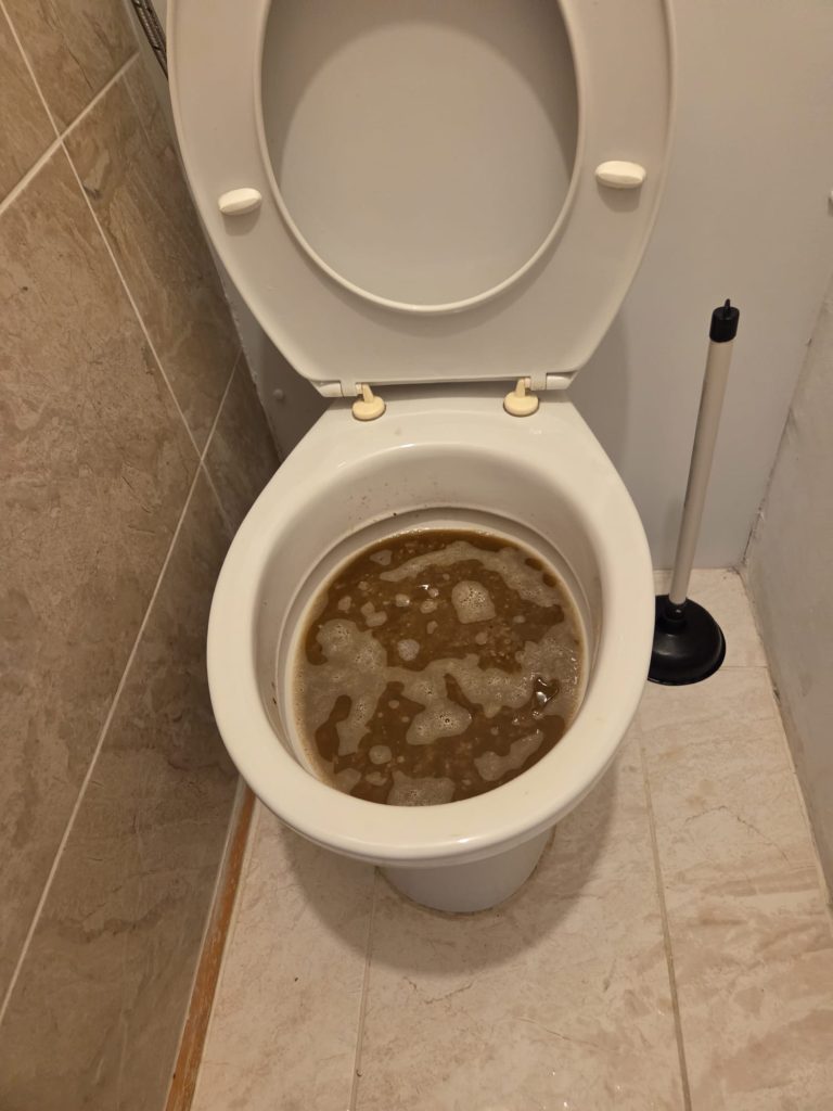 Toilet bowl containing standing discoloured water.
