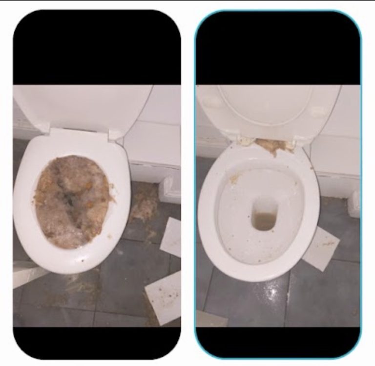 Before-and-after collage showing a backed-up toilet and the bowl after the standing wastewater has drained.