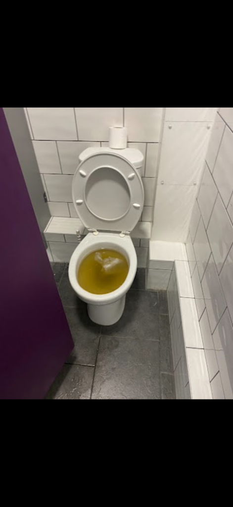 Toilet bowl holding discoloured water at an Enfield property