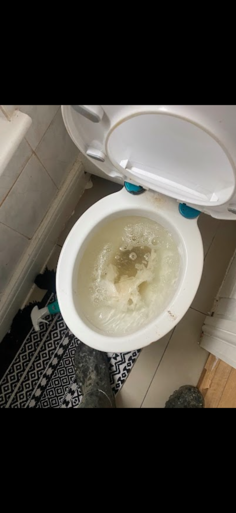 Toilet bowl with high water and tissue at an Enfield property