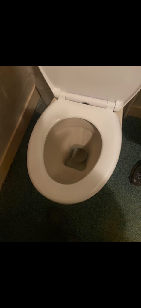 Toilet bowl photographed during a toilet unblocking visit in Enfield