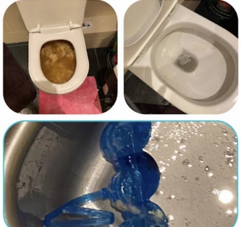 Collage showing a backed-up toilet, the toilet after clearance and a blue toilet freshener holder removed during the work.
