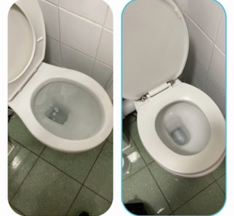Comparison of a toilet holding standing water and the cleared bowl after the work.