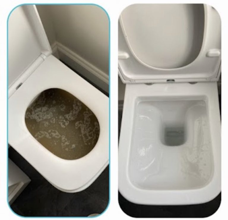 Before-and-after photographs of a toilet holding dirty water and the cleared bowl.